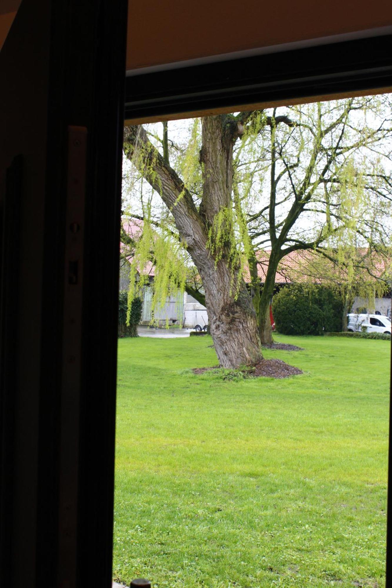 Weitblick - Ruhepol In Muensterlaender Parklandschaft Apartment ดึลเมน ภายนอก รูปภาพ
